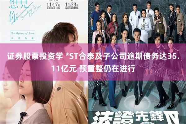 证券股票投资学 *ST合泰及子公司逾期债务达35.11亿元 预重整仍在进行