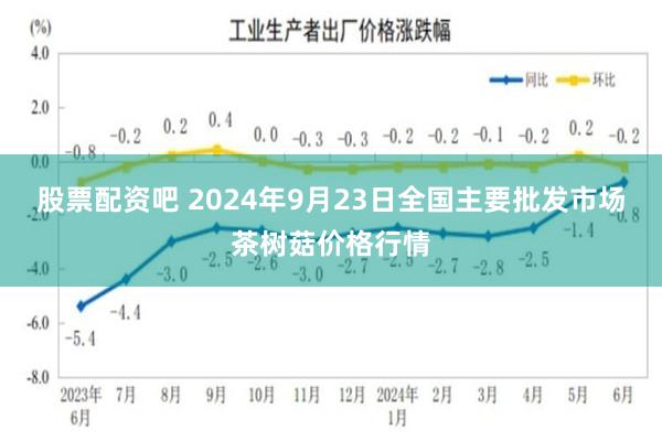 股票配资吧 2024年9月23日全国主要批发市场茶树菇价格行情