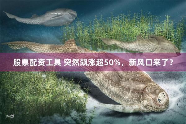 股票配资工具 突然飙涨超50%，新风口来了？