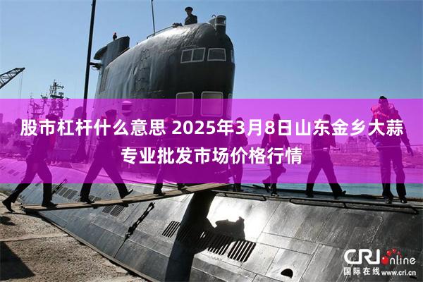 股市杠杆什么意思 2025年3月8日山东金乡大蒜专业批发市场价格行情