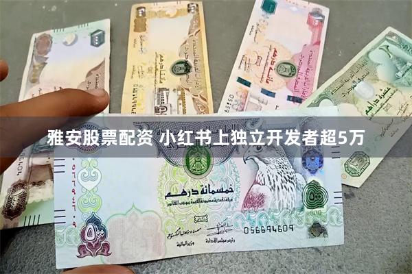 雅安股票配资 小红书上独立开发者超5万